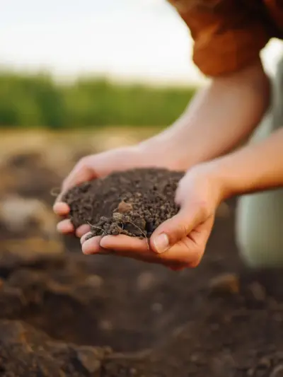 Agro y Campo
